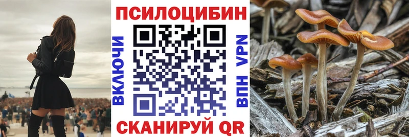 Псилоцибиновые грибы Cubensis  blacksprut ONION  Надым  где можно купить  